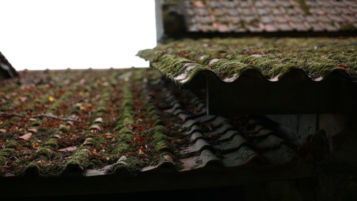 Home Inspections in the Homebuying Process